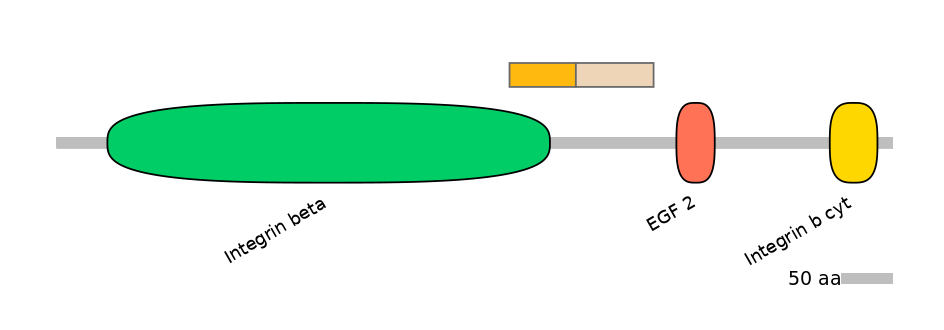 RnoINT0076434-EXC