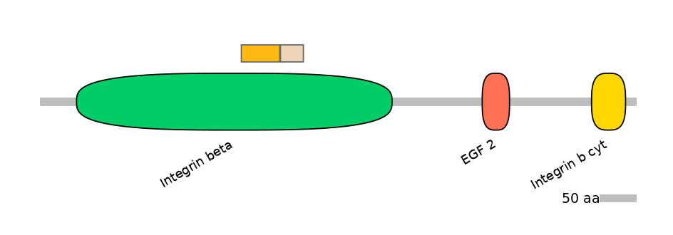 RnoINT0076443-EXC