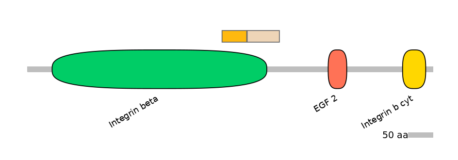 RnoINT0076446-EXC