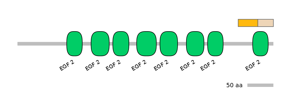 RnoINT0076459-EXC