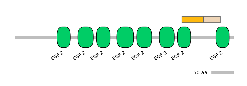 RnoINT0076467-EXC