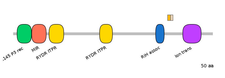 RnoINT0076666-EXC