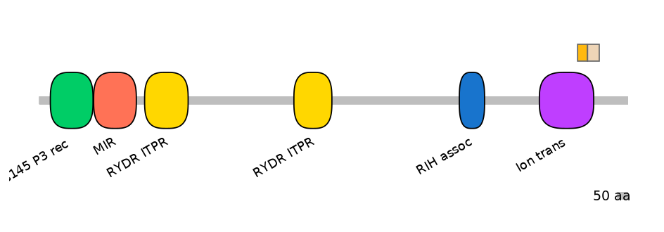 RnoINT0076674-EXC