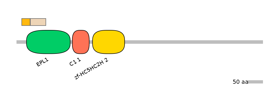RnoINT0076930-EXC