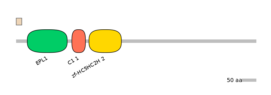 RnoINT0076937-INC