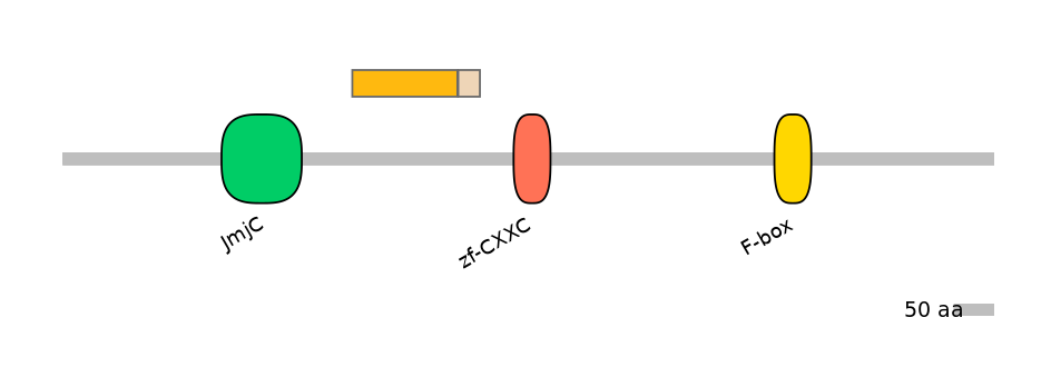 RnoINT0078336-EXC