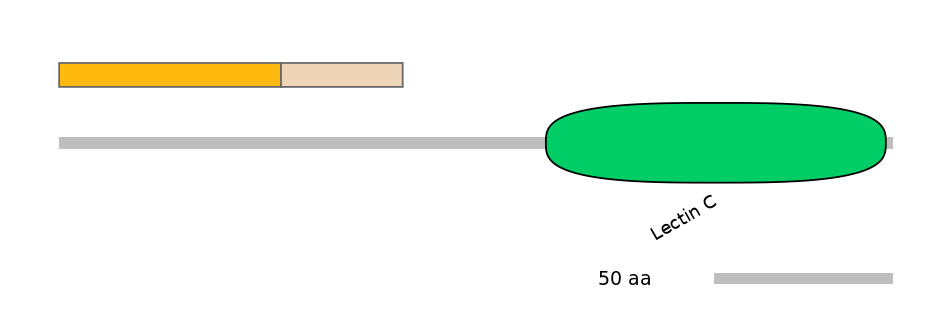 RnoINT0080267-EXC