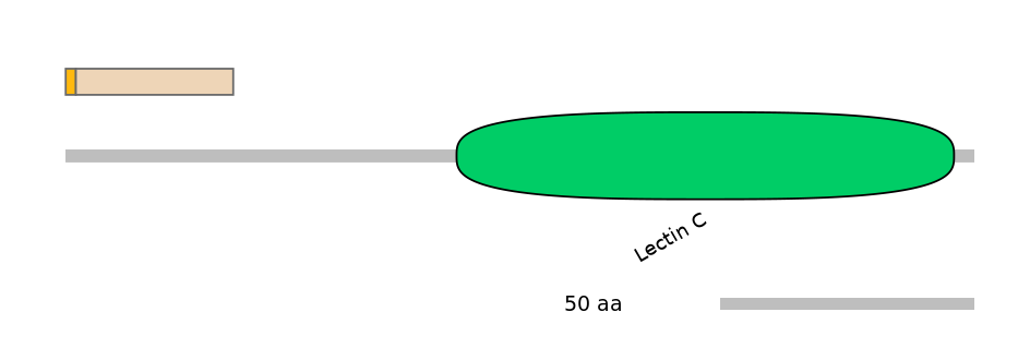 RnoINT0080275-EXC