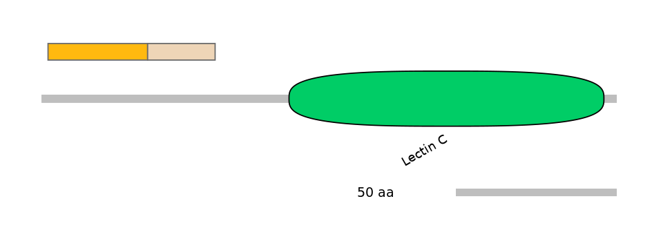 RnoINT0080276-EXC
