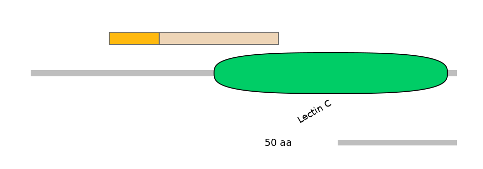 RnoINT0080277-EXC