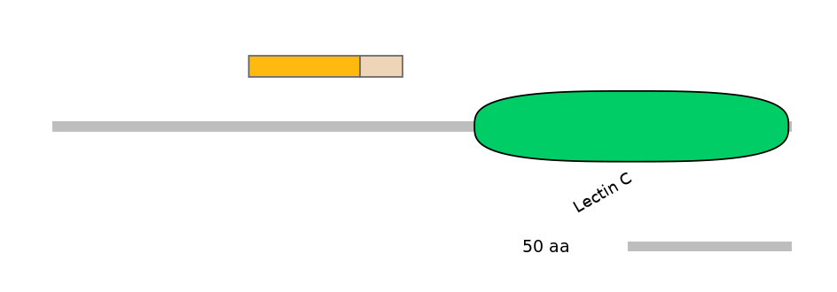 RnoINT0080281-EXC