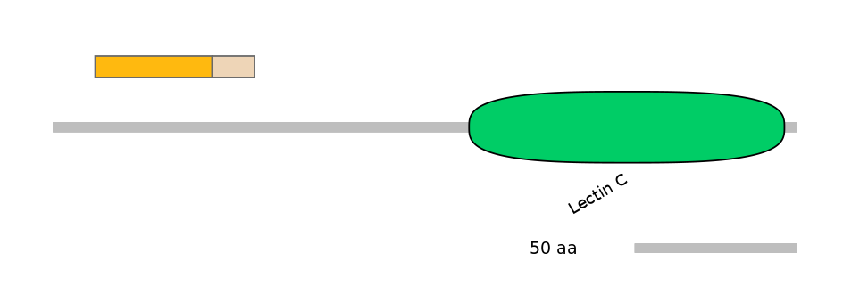 RnoINT0080310-EXC