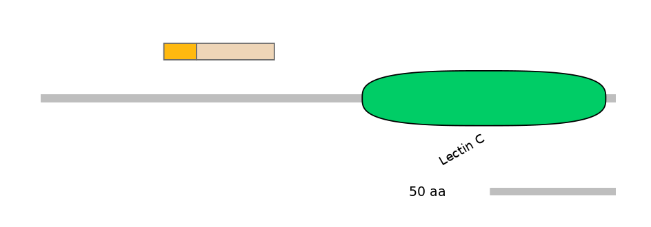 RnoINT0080311-EXC