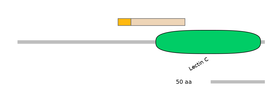 RnoINT0080313-EXC