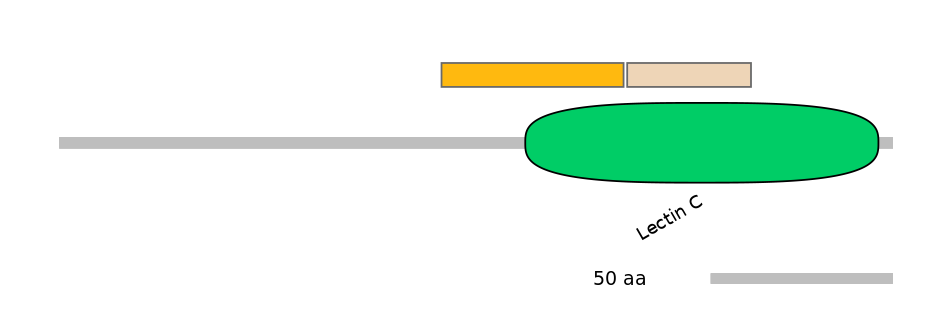 RnoINT0080314-EXC