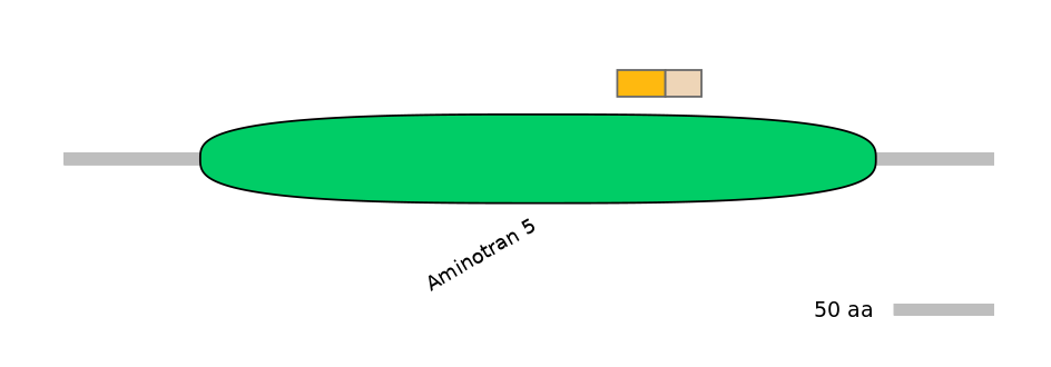 RnoINT0081202-EXC