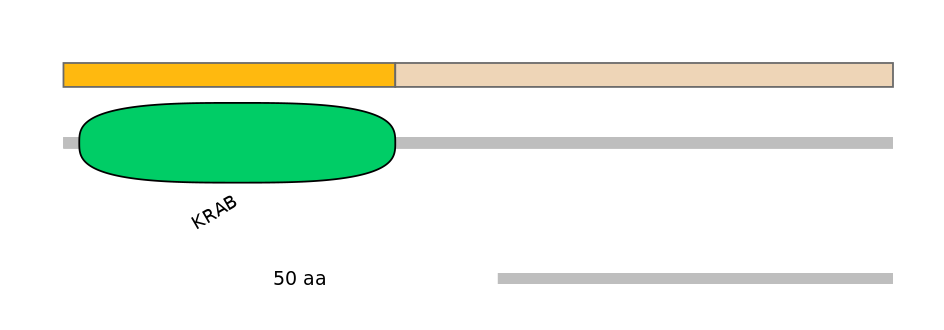 RnoINT0082091-EXC