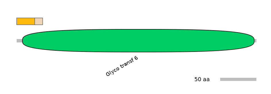 RnoINT0083221-EXC