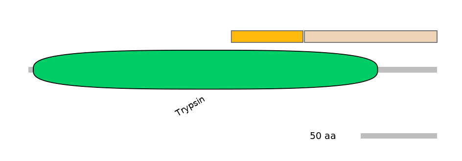 RnoINT0083398-EXC