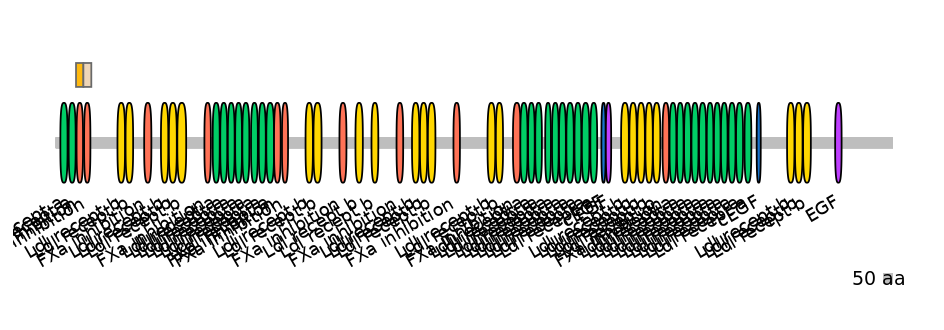 RnoINT0086481-EXC