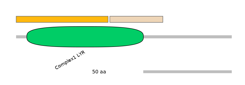 RnoINT0087941-EXC