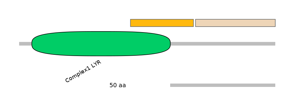 RnoINT0087942-EXC