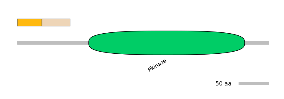 RnoINT0088914-EXC
