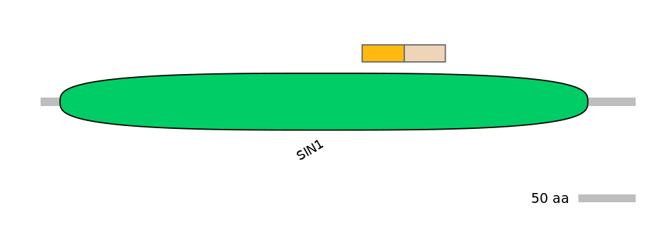 RnoINT0089567-EXC