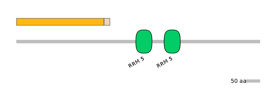 RnoINT0090026-EXC