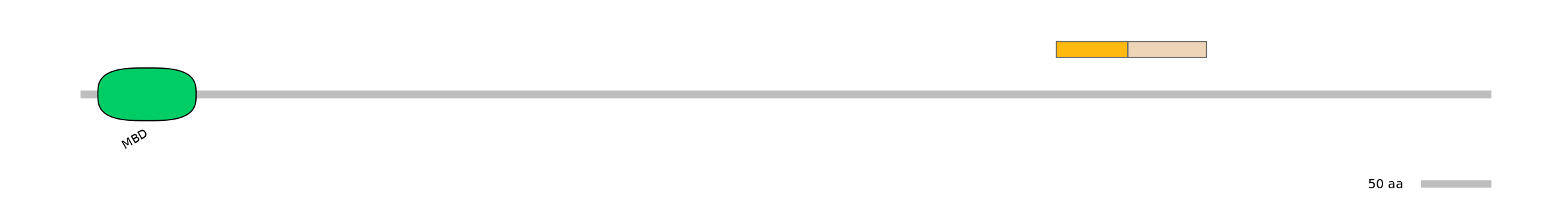 RnoINT0090122-EXC