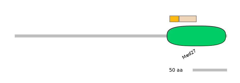 RnoINT0091224-EXC