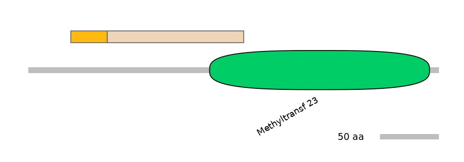 RnoINT0091766-EXC