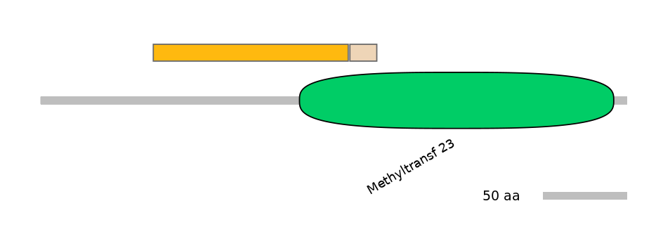 RnoINT0091767-EXC
