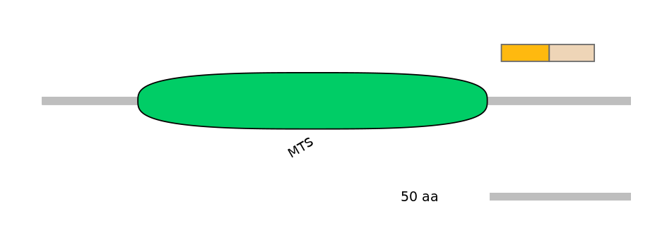 RnoINT0091795-EXC