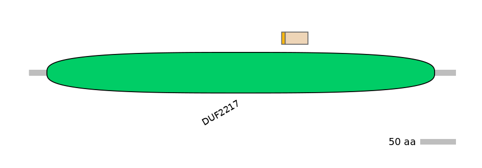 RnoINT0092506-EXC