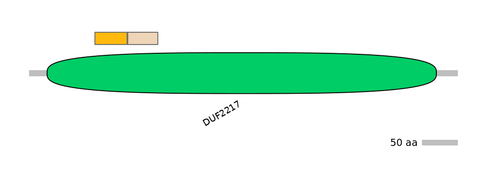 RnoINT0092513-EXC