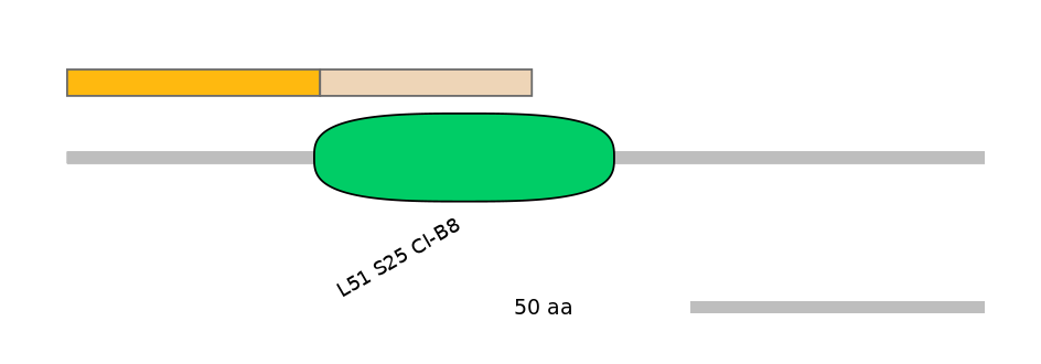 RnoINT0094388-EXC