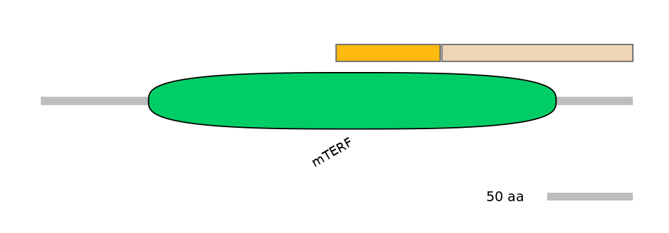 RnoINT0095095-EXC