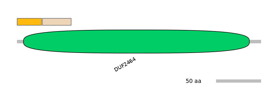 RnoINT0095880-EXC