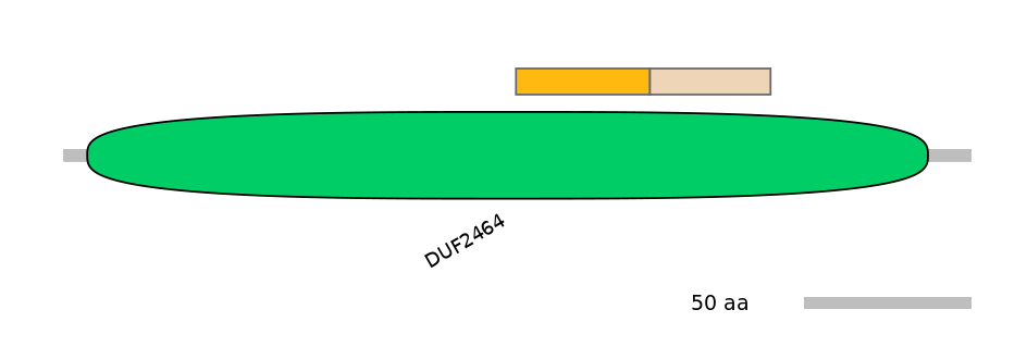 RnoINT0095884-EXC