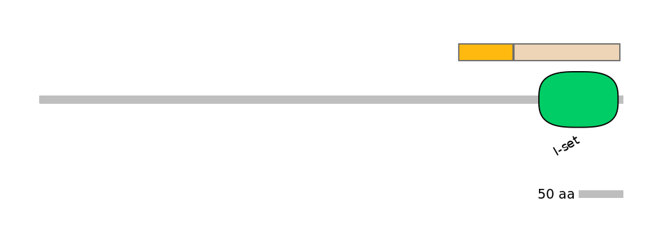 RnoINT0100565-EXC