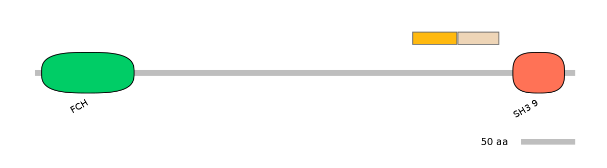 RnoINT0102191-EXC