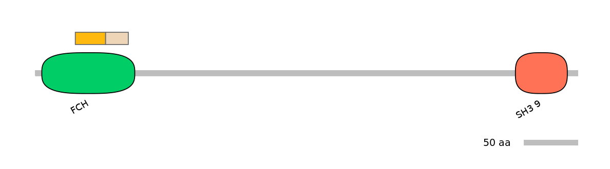RnoINT0102195-EXC