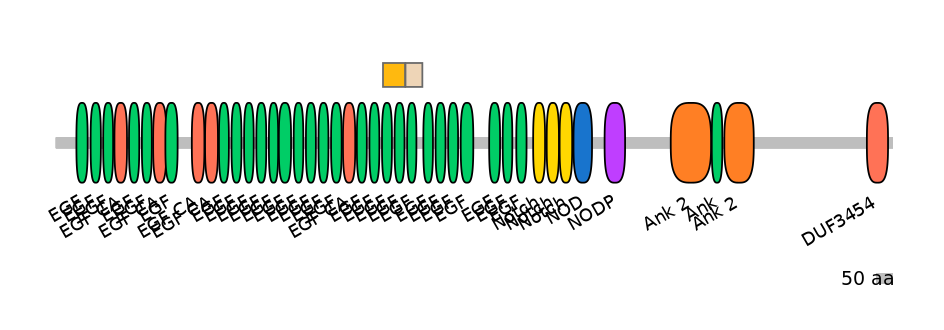 RnoINT0102212-EXC