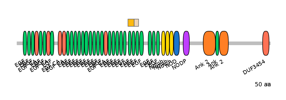 RnoINT0102215-EXC
