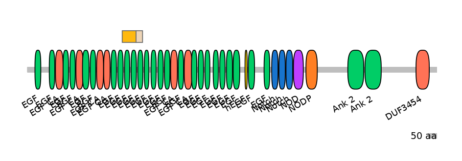RnoINT0102270-EXC