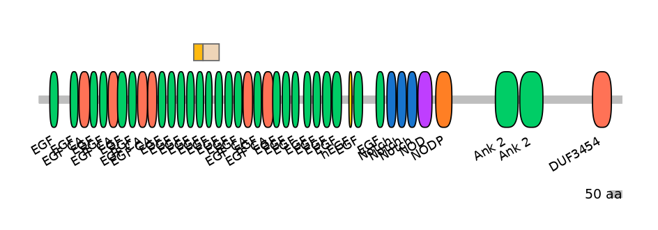 RnoINT0102271-EXC