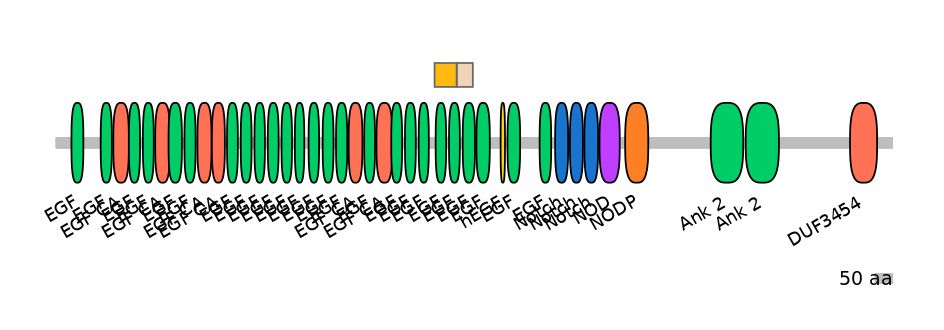 RnoINT0102280-EXC