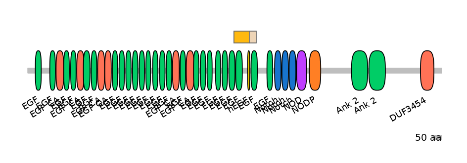 RnoINT0102282-EXC