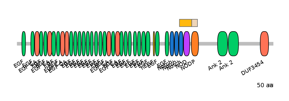 RnoINT0102285-EXC